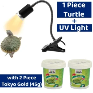 [combo] red eared slider turtle 1 piece, uv light 1 piece, 2 tokyo gold 45g